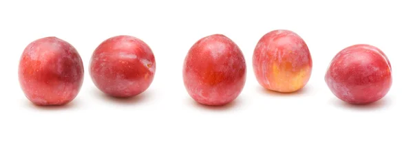 Ameixas grandes maduras vermelhas claras; fronteira horizontal; cinco frutos; isolado no whi — Fotografia de Stock