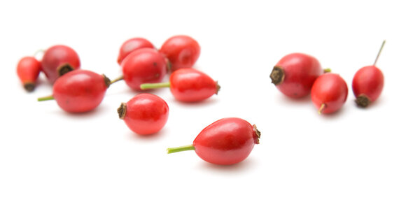 Rosehips isolated on white;