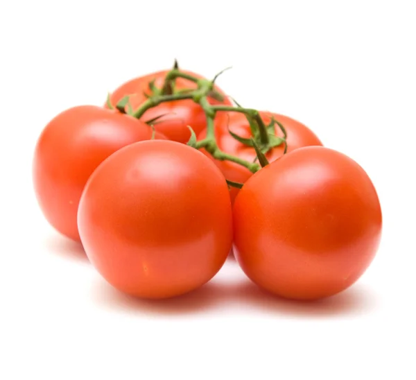 Gałąź winorośli pomidorów na białym tle — Zdjęcie stockowe