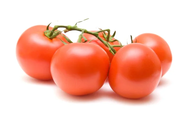 Gałąź winorośli pomidorów na białym tle — Zdjęcie stockowe