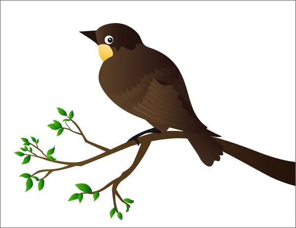 Pták Sedí Větvi Stromu — Stockový vektor