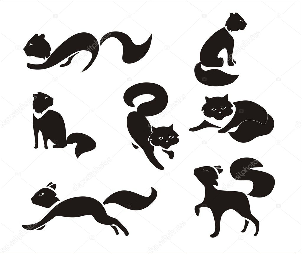 Black cats in different poses on a white background