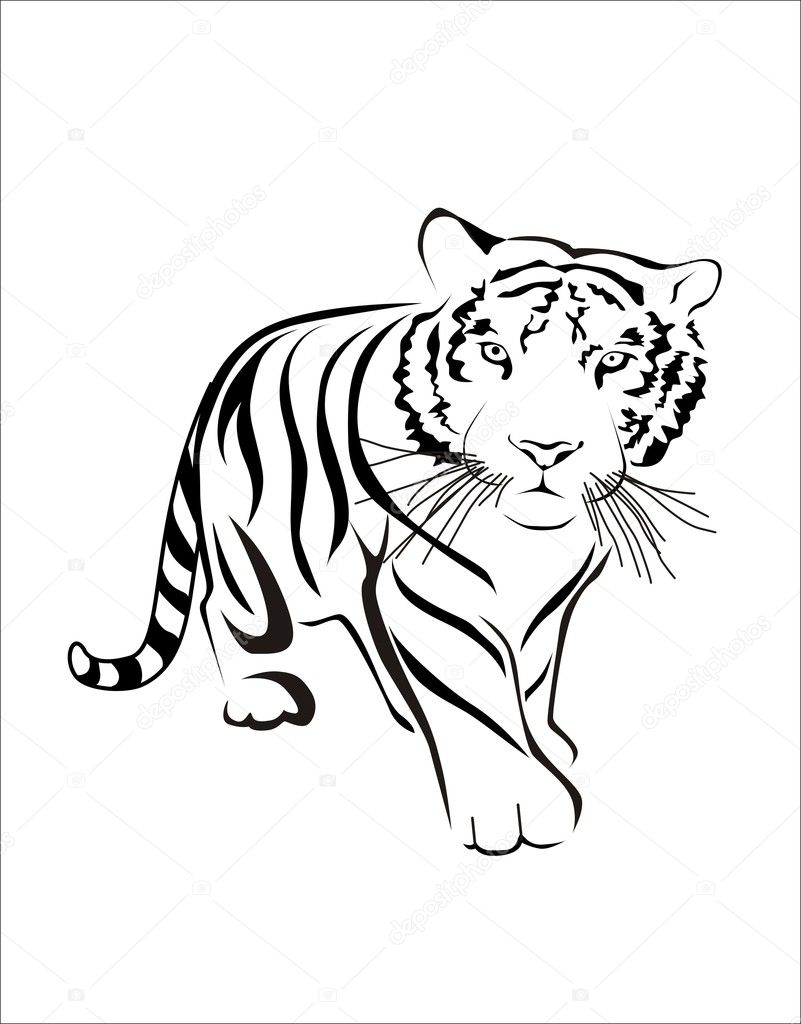 Tiger black