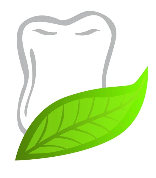 Zahnkontur Mit Grünem Blatt Auf Weißem Hintergrund — Stockvektor