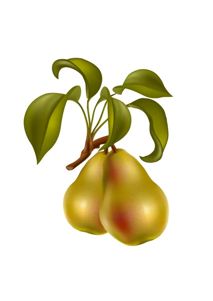 Pear object — Stockvector