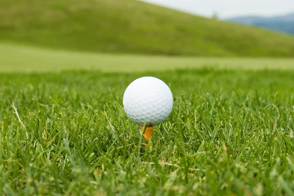 Golfboll på en tee — Stockfoto