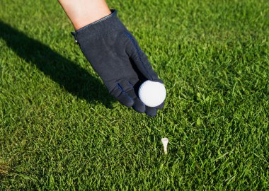 Hand in glove golf black, putting a ball on a tee peg. clipart