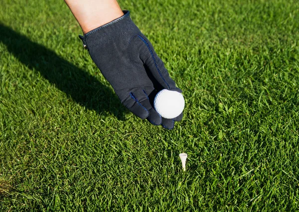 Ruka v černém golfové rukavice, uvedení míč na věšák tee. — Stock fotografie