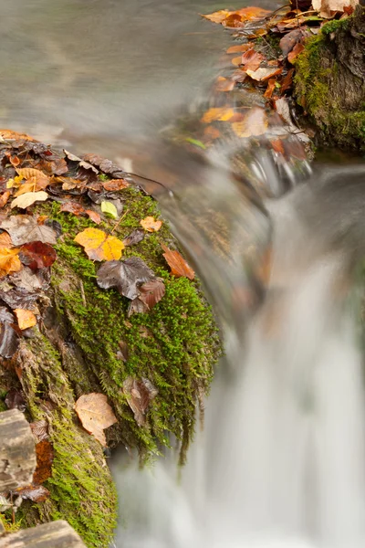Gyönyörű kaszkád vízesés őszi erdőben — Stock Fotó