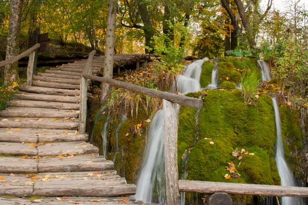Dřevěná cesta podél potoka v lese — Stock fotografie