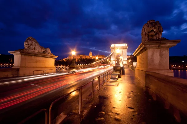 stock image Budapest by night / Chain Bridge