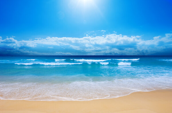 Paradise Beach Royalty Free Stock Images