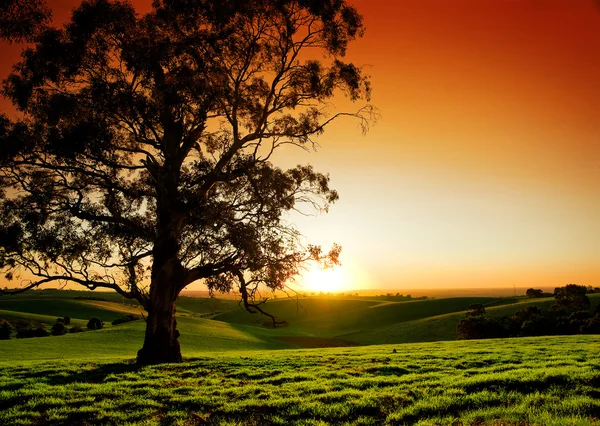 Landsbygdens sunset — Stockfoto