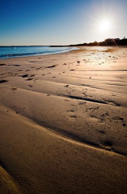 Morning Beach Scene clipart