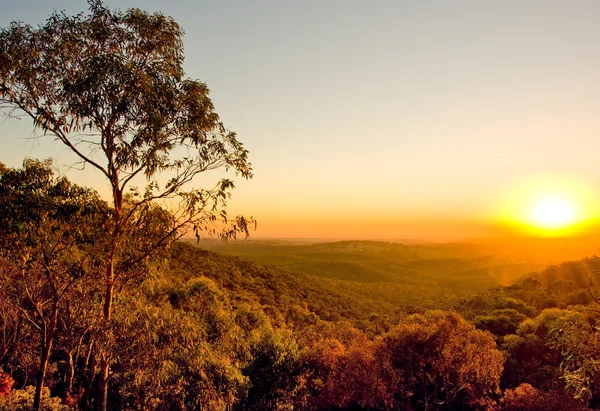 Australijski zachód słońca — Zdjęcie stockowe