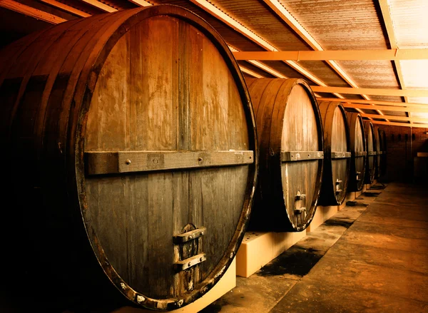 Winery Barrels — Stock Photo, Image