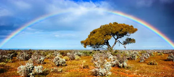 Glória do arco-íris — Fotografia de Stock