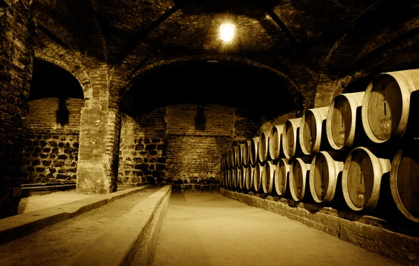 Wine Cellar — Stock Photo, Image