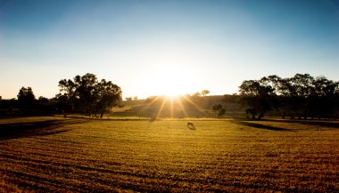 Golden Fields clipart