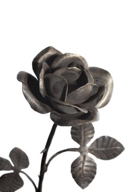 siyah demir çiçek