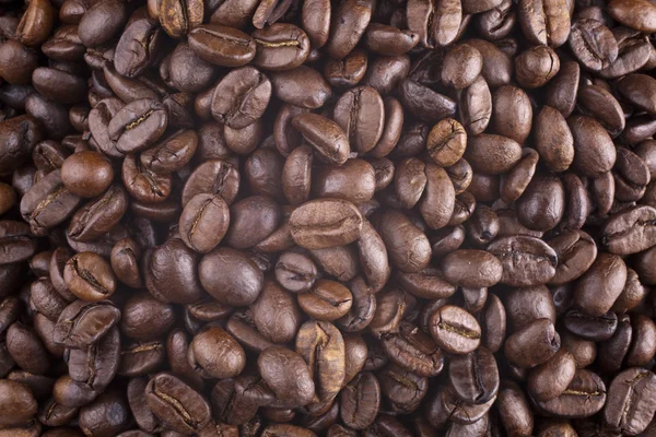 Grani Caffè Uno Sfondo Primo Piano — Foto Stock