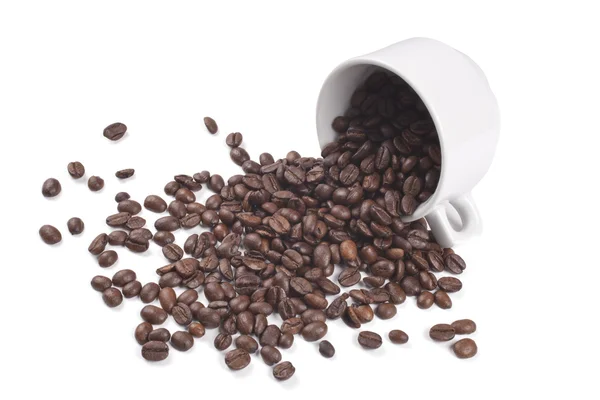 白い背景の上のコーヒー穀物と白いカップ — ストック写真