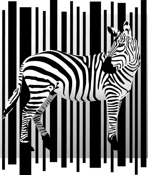 Zebra silhouette Stock Vectors, Royalty Free Zebra silhouette ...