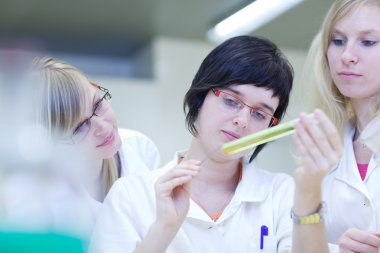 thre kadın araştırmacılar bir kimya laboratuarında araştırma yürütmektedir