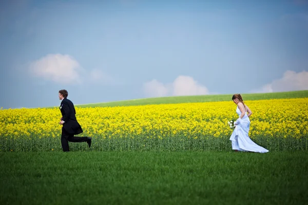 Fiatal Házaspár Frissen Házasodott Vőlegény Menyasszony Pózol Szabadban Esküvő Napján — Stock Fotó