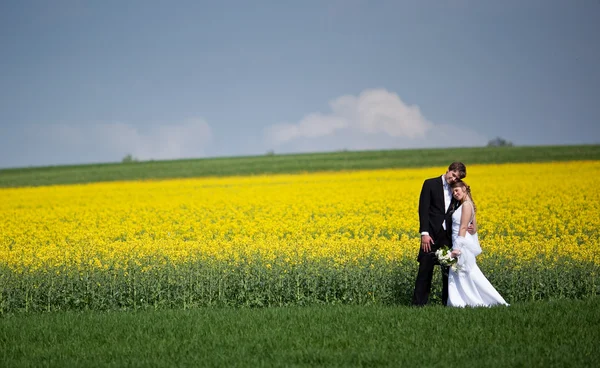 Pareja de boda joven - novio y novia recién casados posando al aire libre —  Fotos de Stock