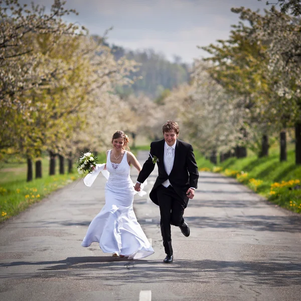 Молодая Супружеская Пара Молодожёны Невесты Позируют Свежем Воздухе День Свадьбы — стоковое фото