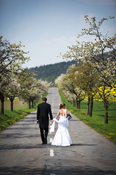 Молодая Супружеская Пара Молодожёны Невесты Позируют Свежем Воздухе День Свадьбы — стоковое фото