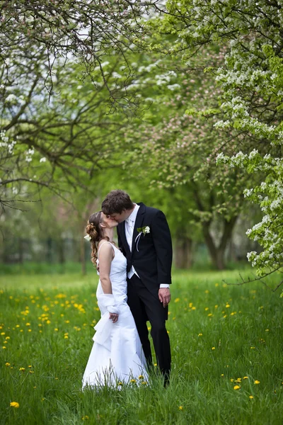 Joven Pareja Boda Recién Casado Novio Novia Posando Aire Libre —  Fotos de Stock