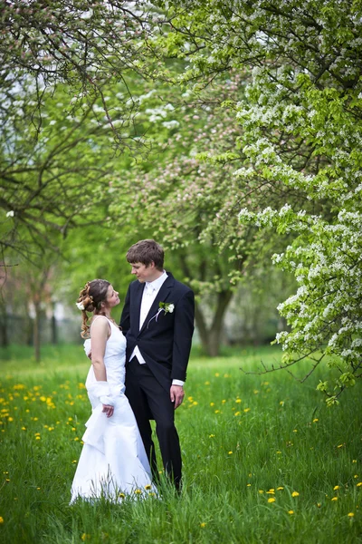若い結婚式のカップル 結婚式の日に屋外でポーズをとる新婚新郎新婦 — ストック写真