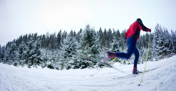 年轻男子越野滑雪的白雪皑皑的丛林小路上 颜色色调图像 — 图库照片