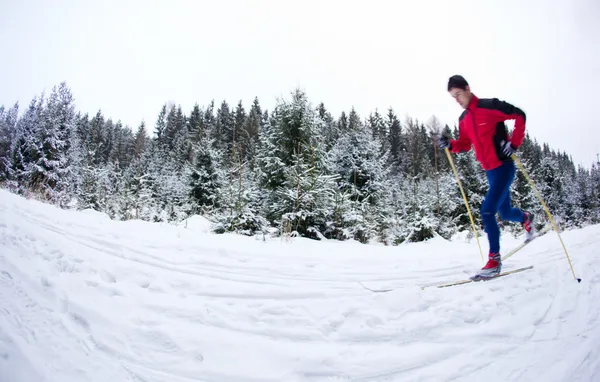 Ung man längdskidåkning på en snöig skog spår (färg till — Stockfoto