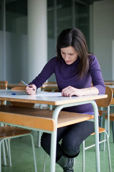 एक कक्षा में काम करने वाले एक सुंदर कॉलेज छात्र का चित्र — स्टॉक फ़ोटो, इमेज