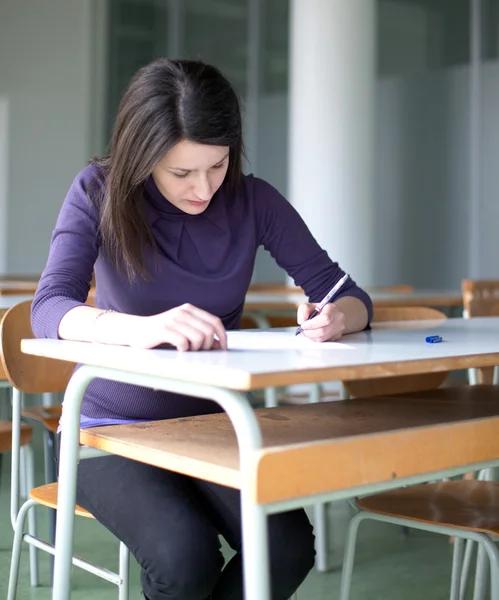 Porträt Einer Hübschen Studentin Die Einem Klassenzimmer Arbeitet — Stockfoto