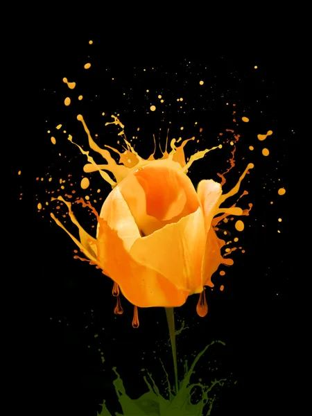 Желтая тюльпановая акварель — стоковое фото