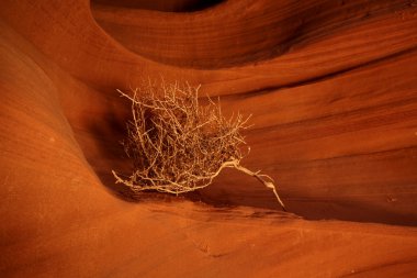 Antelope canyon clipart