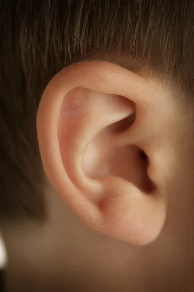 一个年轻的男孩耳朵的特写 — 图库照片