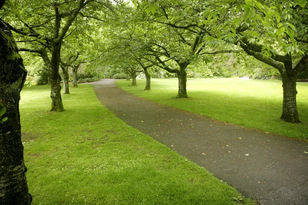 Stock image Park alley