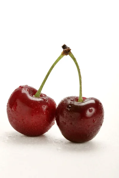 stock image Cherry