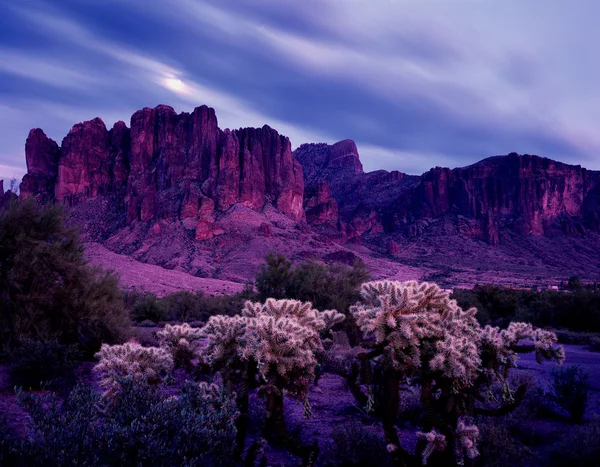 Deserto do Arizona Fotos De Bancos De Imagens
