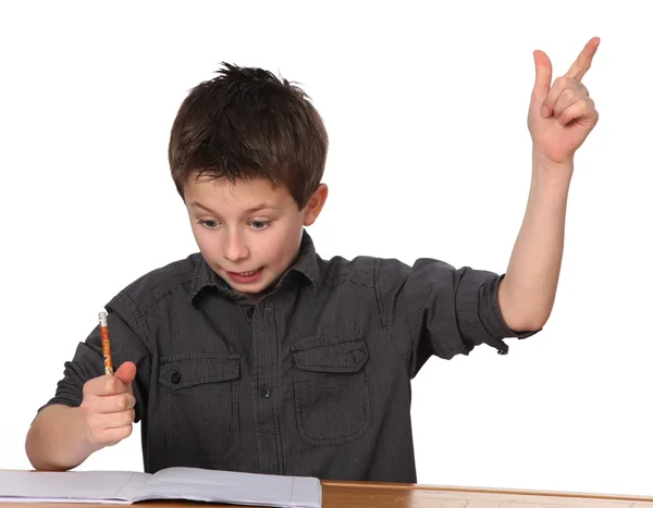 Cute Young Boy Doing Homework — Stock Photo, Image