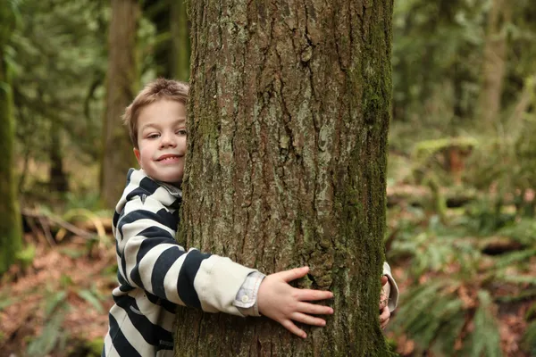 Tree Hugger Concept of a Young Boy Hugging Tree with his Legs and Arms  visible Stock Photo - Alamy