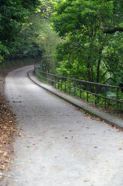 boş hiking trail bahar Parkı