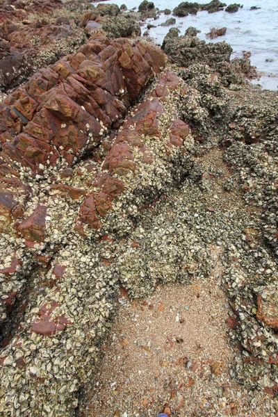 Rocky surface, sedimentary rock — Stock Photo, Image