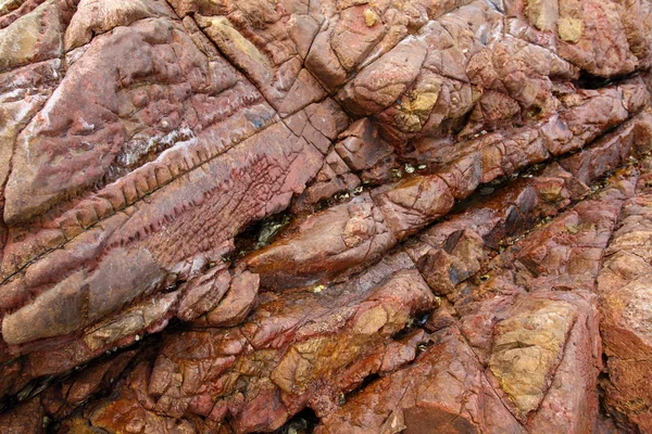 Rocky surface, sedimentary rock — Stock Photo, Image