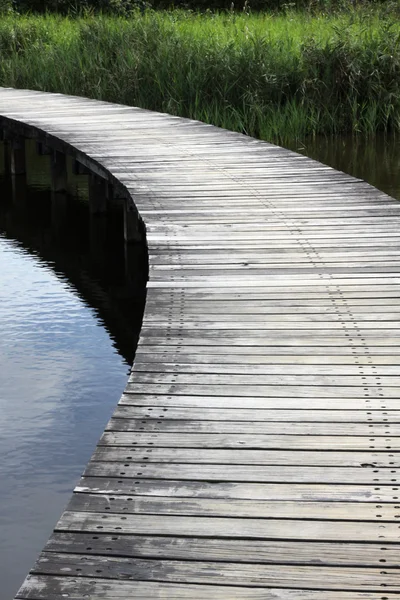湿地のパス — ストック写真